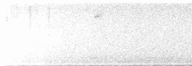 Green-tailed Towhee - ML614969849