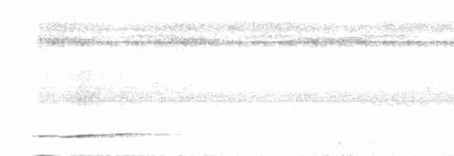 Undulated Tinamou - ML614970280