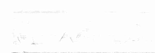 Troglodyte bicolore - ML614970494