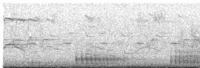 Great Spotted Woodpecker - ML614974070