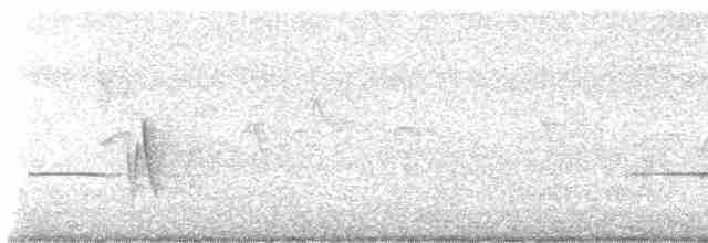 Grauschneidervogel - ML614974456