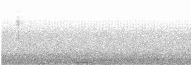 kalous ušatý - ML614974831