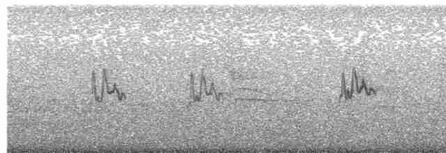 Окулярник сивоспинний - ML614976838