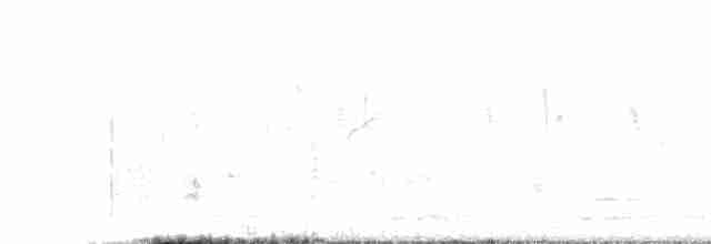 orlík chocholatý - ML614984750