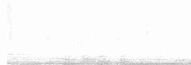 Трупіал чорногузий - ML614986017