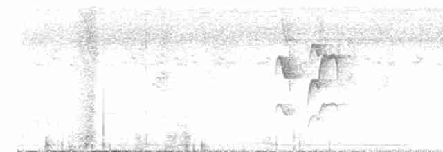 Graustirn-Dickichtschlüpfer - ML614988508