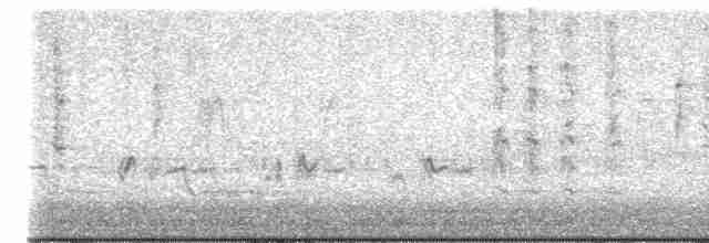 Geniş Gagalı Kolibri - ML614991375