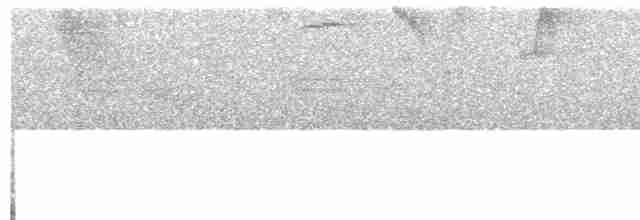 Kahverengi Tepeli Çalı Serçesi - ML614991800