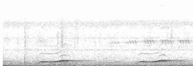 Сова-голконіг далекосхідна - ML614993657