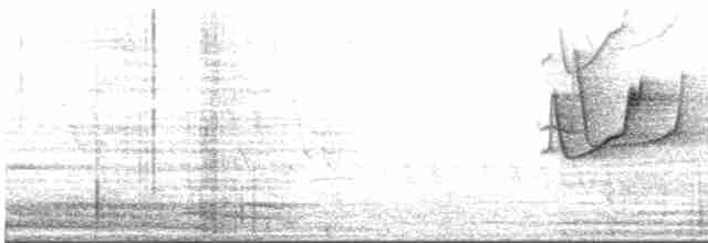 Weißscheitel-Olivtyrann - ML614994824