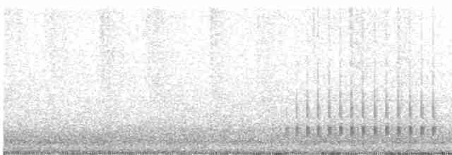 strakapoud osikový (ssp. pubescens/medianus) - ML615000173