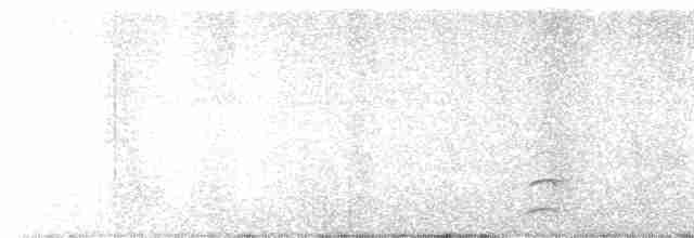 Пестроклювая поганка - ML615000315