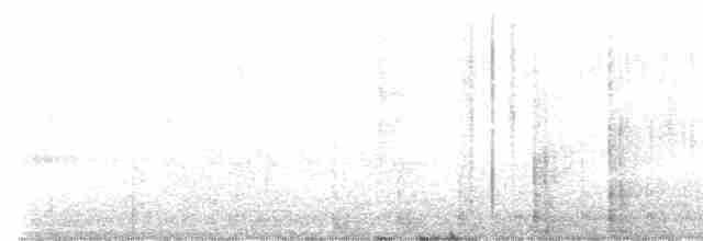Büyük Kuyruklu Kiskal - ML615000914