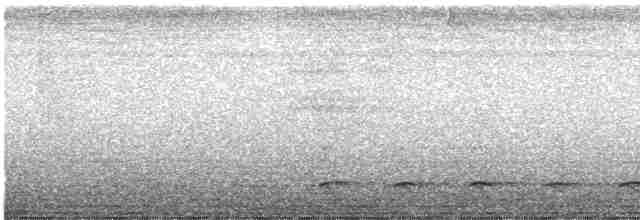 Mor Trogon - ML615003646