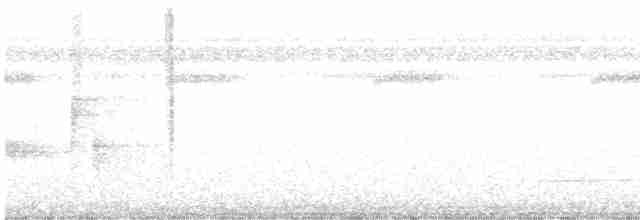 Little Tinamou - ML615003829