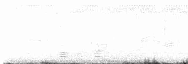 Spotless Crake - ML615005484