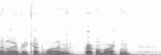 ムラサキツバメ（subis／arboricola） - ML61501