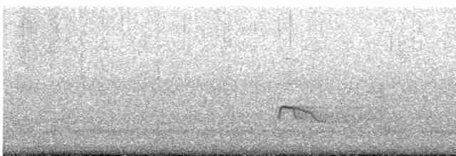 Kızıl Kuyruklu Şahin (borealis) - ML615010974