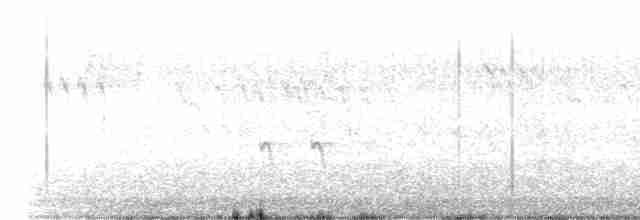 Шишкар ялиновий - ML615011393