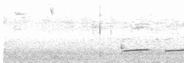 Тиран-крихітка світлогорлий - ML615011684
