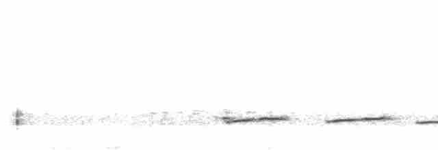 Тиран-крихітка світлогорлий - ML615011686