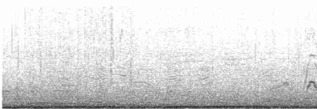 葡萄胸鴨 - ML615011884