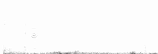 chaluha subantarktická - ML615015927