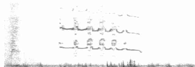 chaluha subantarktická - ML615015928