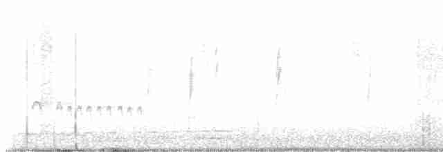 Chaparralgrasmücke - ML615019574