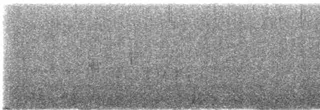 Mirlo Acuático Norteamericano - ML615021128