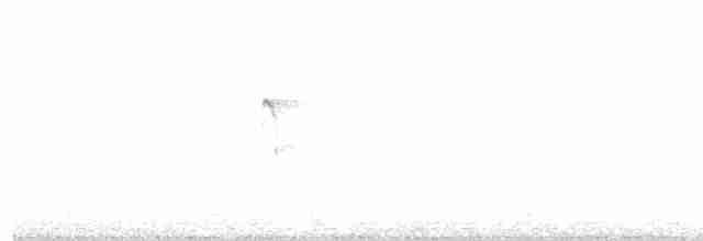 strakapoud americký - ML615021384