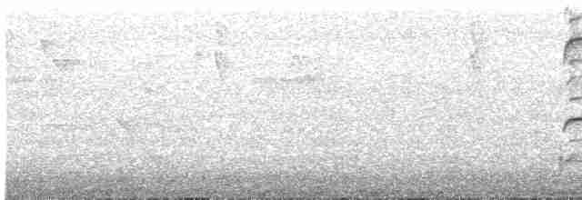 Орлиный канюк - ML615021714