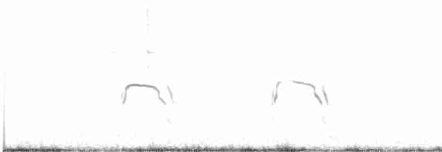 Busard des marais - ML615022429