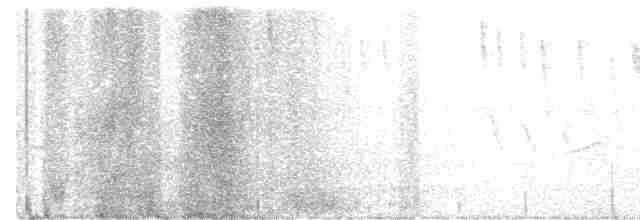Миртовый певун (coronata) - ML615022843