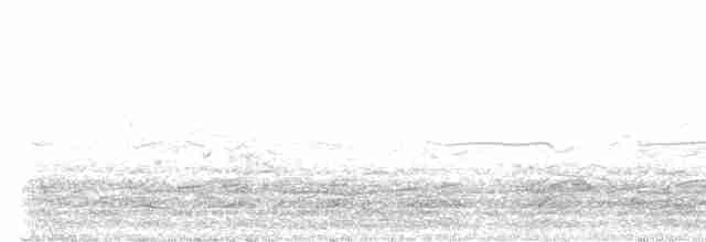 præriegråmåke - ML615023001