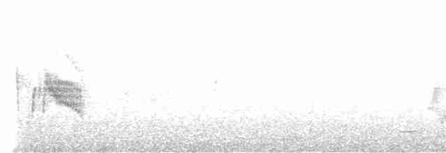 Ивовый мухолов - ML615023330