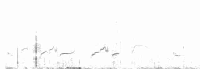 Wüstenspottdrossel - ML615023376