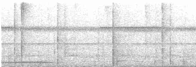 Grand Tinamou - ML615023529