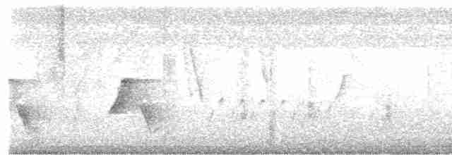 Белоухий крапивник - ML615024336
