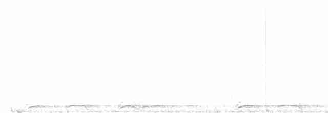 Chouette rayée - ML615024752