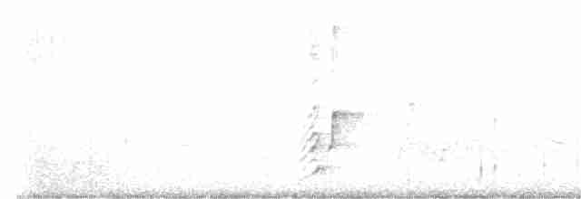 Пароарія чубата - ML615024996