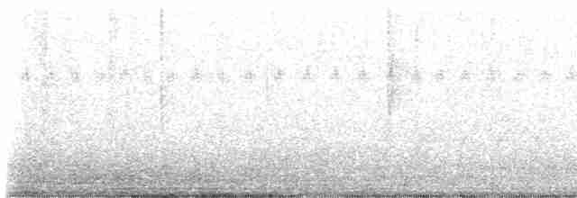 Ширококлювый колибри - ML615025600