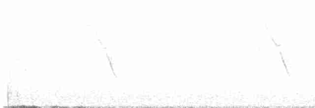 eikevireo (stephensi gr.) - ML615025728