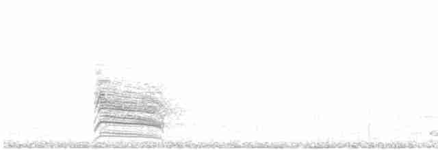 Розовогорлая пиранга - ML615026093