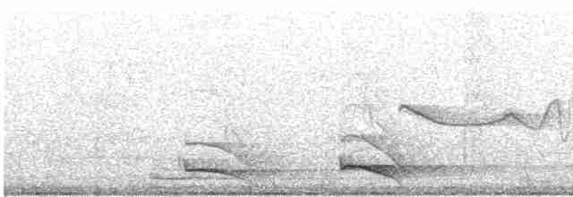 trogon límcový (ssp. puella) - ML615026119