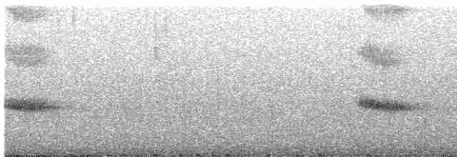 Чёрно-алая ииви - ML615026494