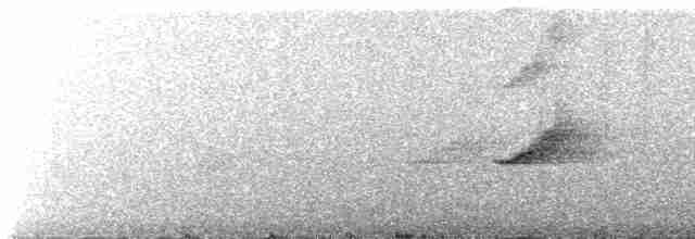 Чёрно-алая ииви - ML615026495