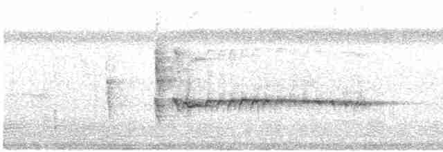 spydknottsmett (rufiventris gr.) - ML615027078