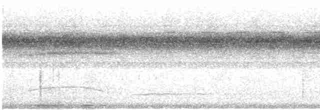 Boz Başlı Sinekkapan [lawrenceii grubu] - ML615027101
