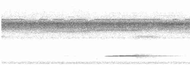 Tinamou cannelle (groupe cinnamomeus) - ML615027116